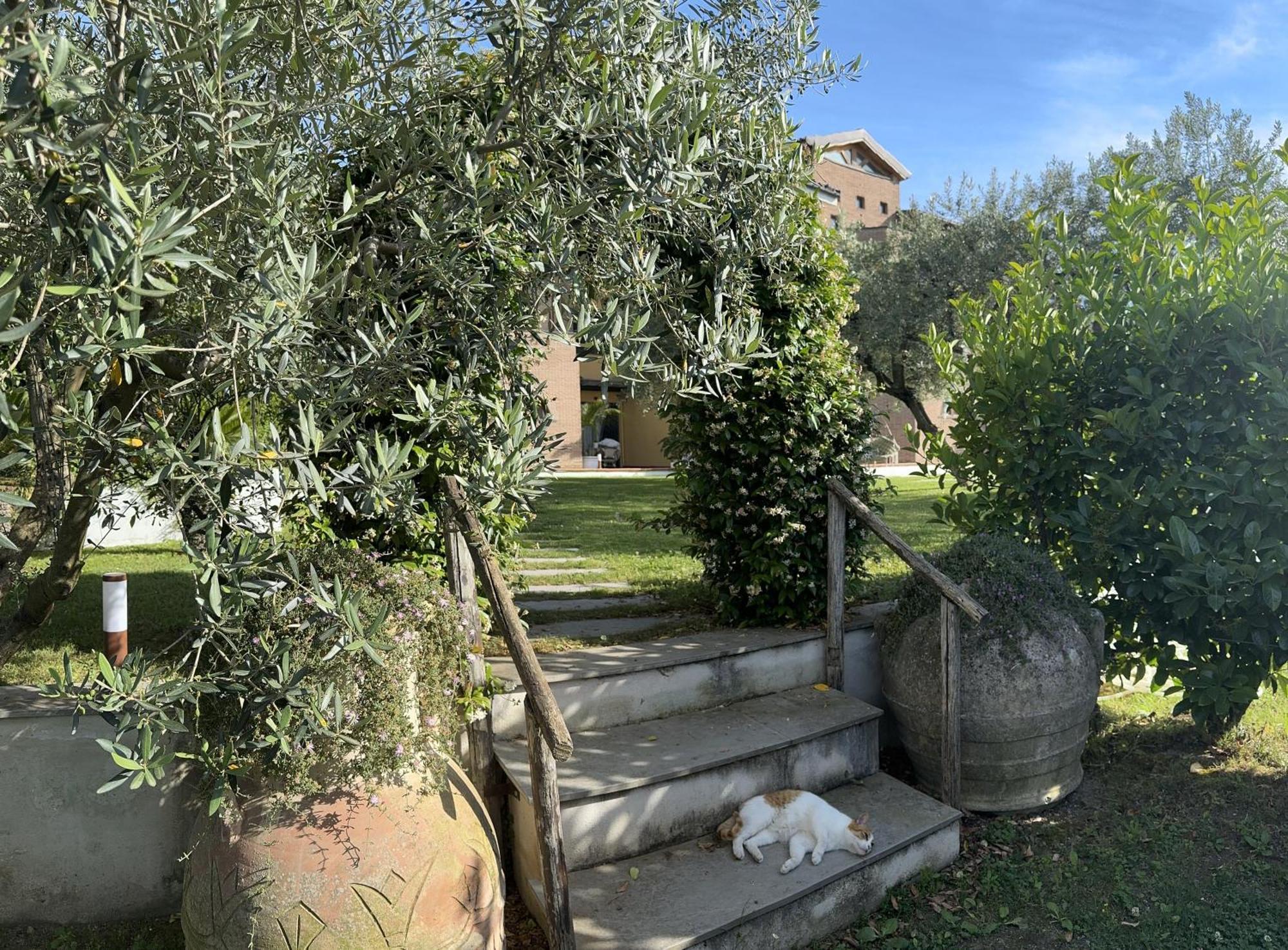 Villa C Luxury Estate SantʼAntonio Abate Esterno foto